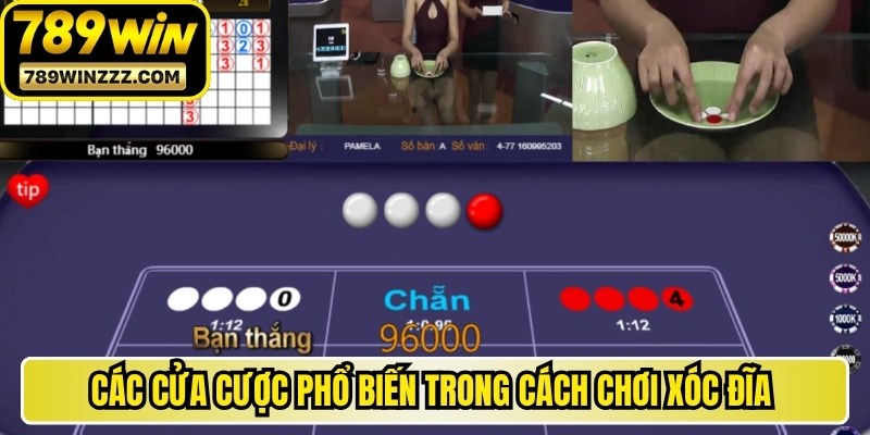 Các cửa cược phổ biến trong cách chơi xóc đĩa mới nhất 